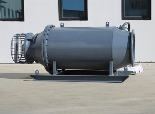How does a horizontal axial flow pump work?