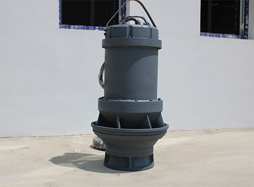 What Is The Design Of A Submersible Vertical Axial Flow Pump?