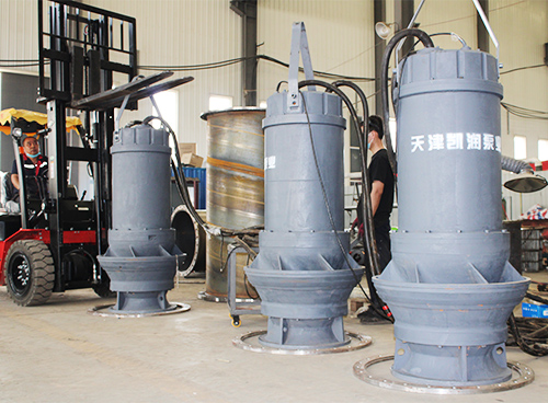 What Is The Performance Of A Submersible Vertical Axial Flow Pump?