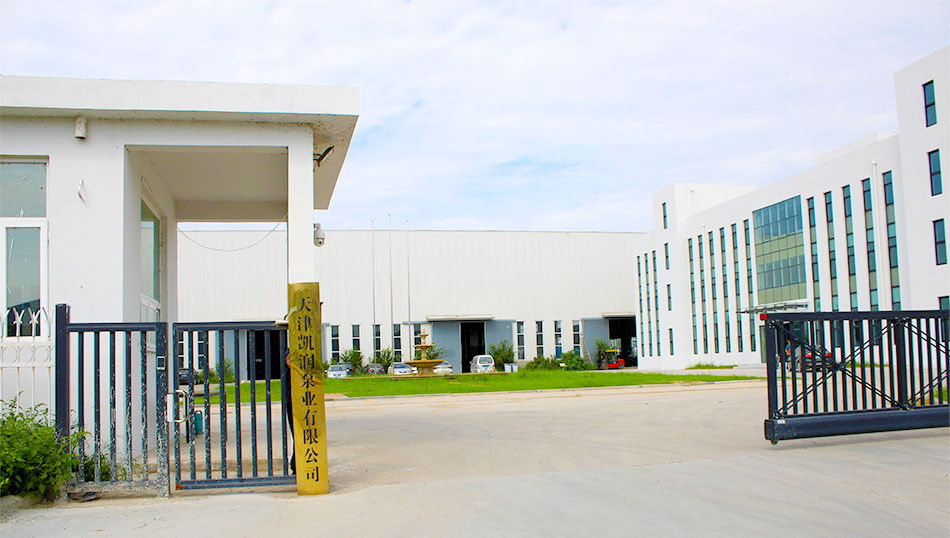 Tianjin Kairun Pump Industry Co., Ltd.png