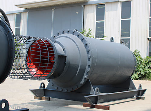 How to Extend the Service Life of a Horizontal Axial Flow Pump?