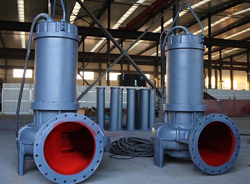Axial Flow Pumps For Power Industry